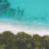 J4 Into the Jungle Lightroom Presets