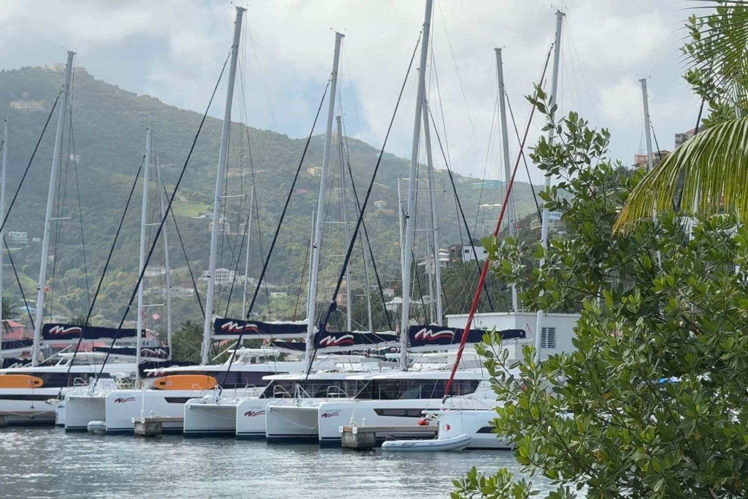 Tortola