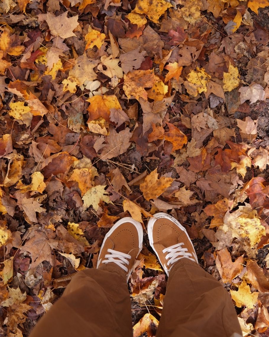 New England Fall Map Product (2) New England Fall Map Product (2)