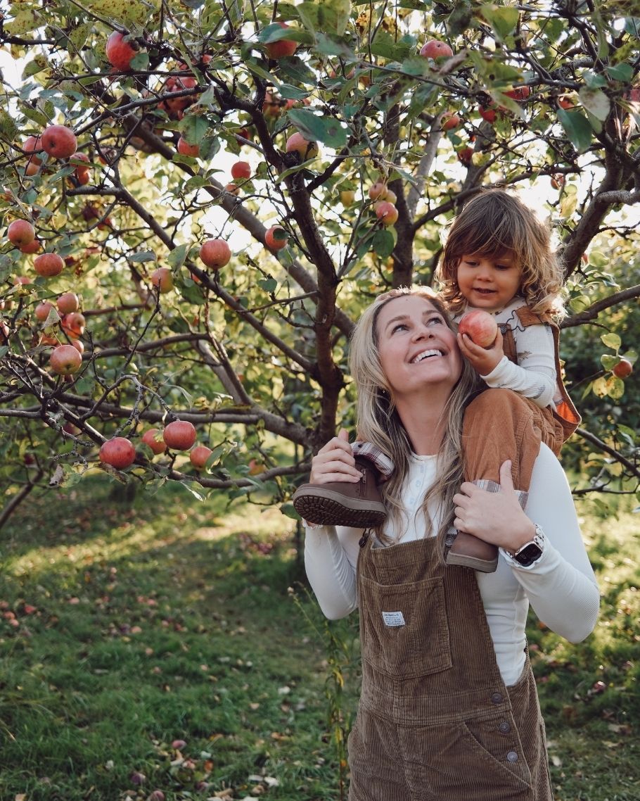 New England Fall Map Product (3) New England Fall Map Product (3)