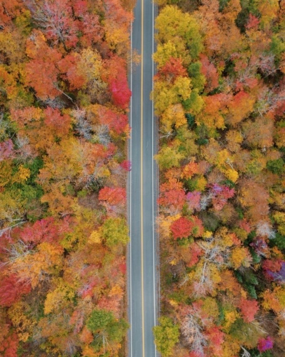 New England Fall Map Product (4) New England Fall Map Product (4)