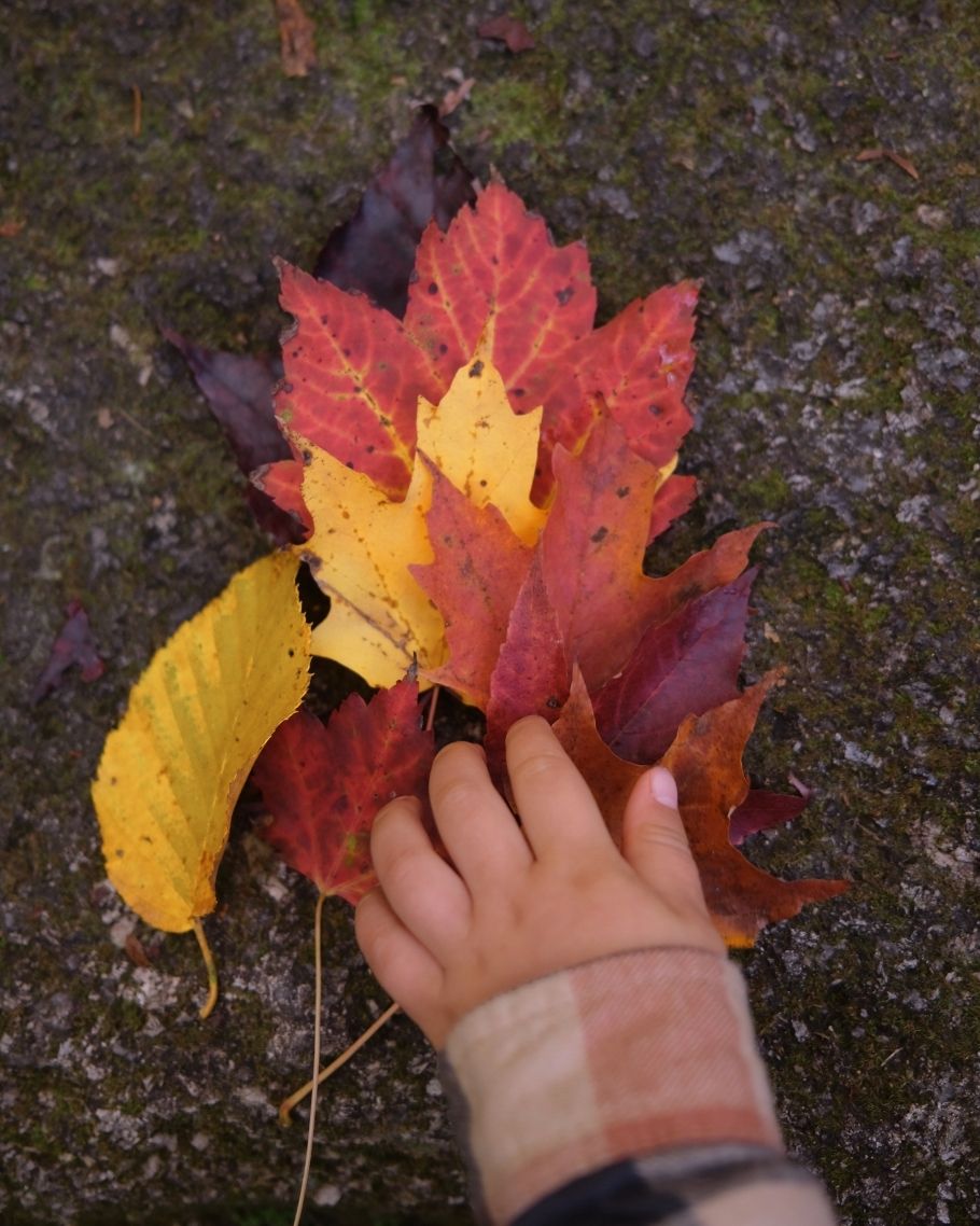 New England Fall Map Product (6) New England Fall Map Product (6)